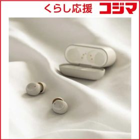 ZE500 for ASMR 新品 6,500円 中古 4,480円 | ネット最安値の価格比較
