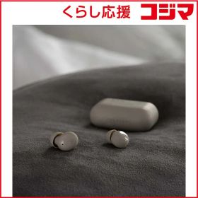 【 新品 未開封 】 FINAL 完全ワイヤレスイヤホン ASMR専用音質 ZE500 for ASMR DARK GRAY 未使用 送料無料