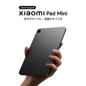 Xiaomi Pad mini 12GB+512GB 新品 81,580円 中古 53,000円 | ネット最