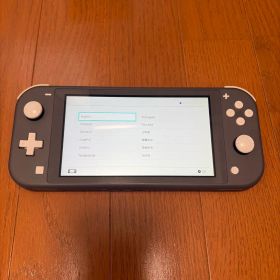 Nintendo Switch Lite グレー 本体のみ