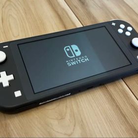 Nintendo Switch Lite 本体 グレー