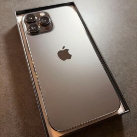 Apple iPhone 13 Pro MAX 本体 1TB