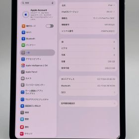 【中古B】iPad Pro 11-inch 第5世代 (M4) 256GB スペースグレイ Wi-Fi バッテリー【100%】