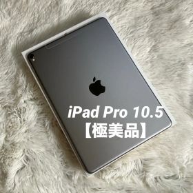【ラスト1台】iPad Pro 10.5 512GB 【発送】【付属品】