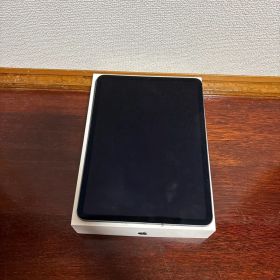 iPad Pro 11インチ（第1世代）256GB