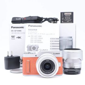 【送料無料】【美品】DC-GF10WA-D