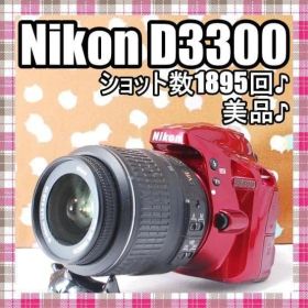 ✨スマホ転送可能✨ショット数1895回✨Nikon D3300 レンズセット