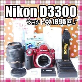 ✨ショット数1895回✨スマホ転送可能✨Nikon D3300 レンズセット
