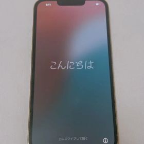Apple＊iPhone13 Pro 本体