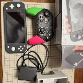 Nintendo Switch Lite ゲーム機本体 中古 10,300円 | ネット最安値の