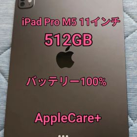 iPad Pro M5 512GB 11インチ