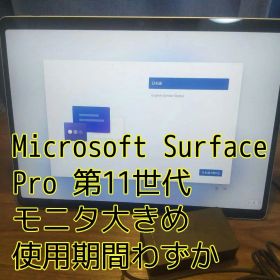 Microsoft Surface Pro 第11世代 Model:2076