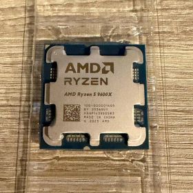 AMD Ryzen 5 9600X