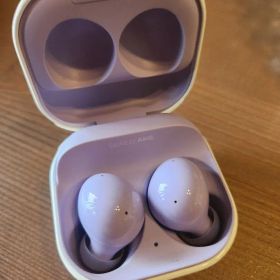 Samsung Galaxy Buds2 本体