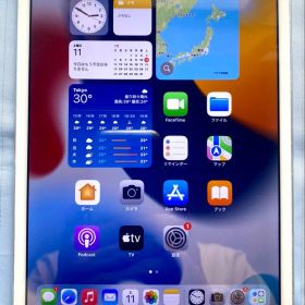 Apple iPad mini 4 シルバー本体