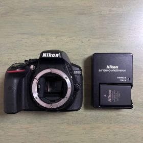 【ジャンク】Nikon D5300 本体 動作確認済み