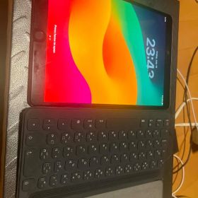 iPad Pro 10.5 256GB Cellular Battery 98%