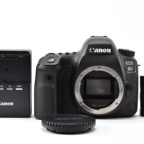 53622ショット!! 良品 Canon EOS 6D Mark II ボディ ね０１