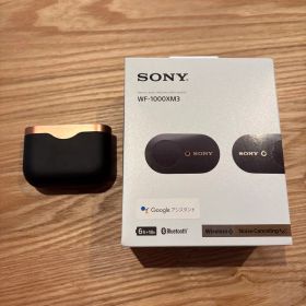 【ジャンク品】Sony ワイヤレスイヤホン ブラックWF-1000XM3
