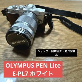 【ショット数約5700回・機関極上】E-PL7 レンズセット 動作確認済