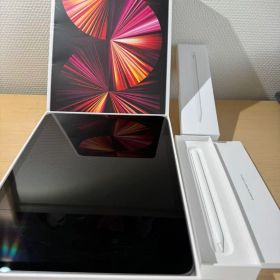 Apple iPad Pro 第3世代11インチ Apple pencil