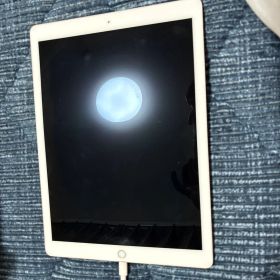 iPad Pro 12.9インチ 第2世代 256GB セルラーモデル