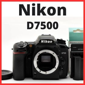 F23[7990]41 ニコン Nikon D7500 ボディ
