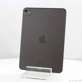 ソフマップ 〔中古品〕 iPad Pro 11インチ 第5世代 Nano-textureガラス 1TB スペースブラック MWRP3J／A SIMフリー【305】