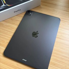 【美品】iPad Pro M5 11インチ WiFi+Cellular