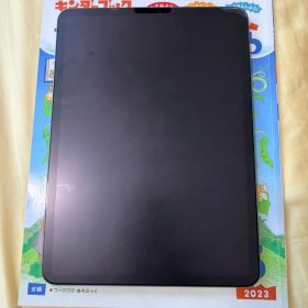 K*1様 [ジャンク] iPad Pro 11インチ（第2世代）128G WIF