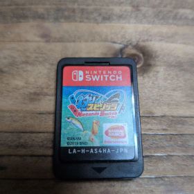 釣りスピリッツ Nintendo Switch