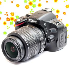 ニコン Nikon D5100☆スマホに送れる！☆自撮りも！☆デジタル一眼レフ
