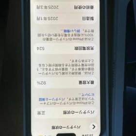 iPhone 16 Pro Max 256GB ブラックチタニウム
