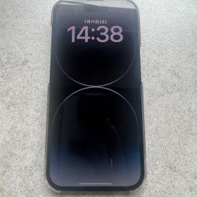 Apple iPhone 14 Pro 本体