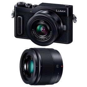 Panasonic ミラーレス一眼カメラ ルミックス GF10 ダブルレンズキット 標準ズームレンズ/単焦点レンズ付属 ブラック DC-GF10W-K