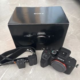 α7 IV 新品 235,000円 中古 187,800円 | ネット最安値の価格比較