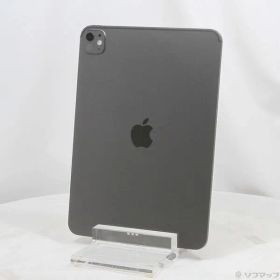 ソフマップ 〔中古品〕 iPad Pro 11インチ(M5) 標準ガラス 2TB スペースブラック MDWU4J／A Wi-Fi【344】