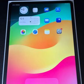 【超美品】iPad Pro 第4世代 12.9インチ Wifi＋Cellular