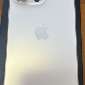 iPhone13pro