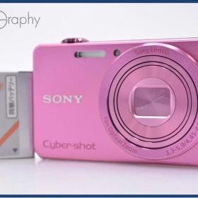 ソニー SONY Cyber-shot DSC-WX220 10X バッテリー付属 同梱無料 #ks309