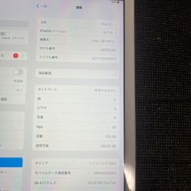 iPad（第5世代） Wi-Fi + Cellular 128