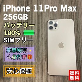 【美品】iPhone11ProMax 256GB SIMフリー 【新品液晶電池】
