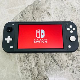 【完動品】Nintendo Switch lite グレー