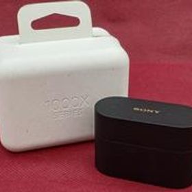 ワイヤレスイヤホン WF-1000XM6 SONY