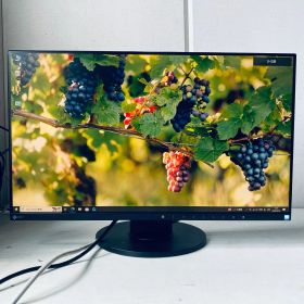 SHIN410 【整備済】EIZO EV2450 23.8インチ液晶モニター FlexScan フルHD IPSパネル 美品