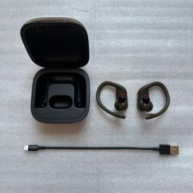 【美品】Beats Powerbeats Pro 完動品 ケース付 充電ケーブル