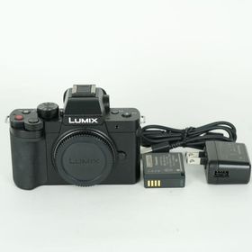 [美品 | シャッター数1,815回] Panasonic LUMIX DC-G100D ボディ | マイクロフォーサーズマウント