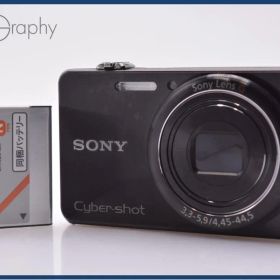 【動作保証】 ソニー SONY Cyber-shot DSC-WX200 10x バッテリー付属 同梱無料 #my55