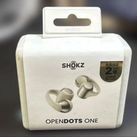 Shokz OpenDots ONE Grey 未使用 レシート付 000053