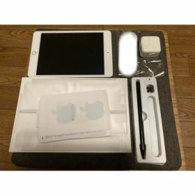 iPad mini5 64GB Wi-Fiモデル シルバー 付属品多数 第5世代